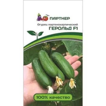 Огурец Герольд F1