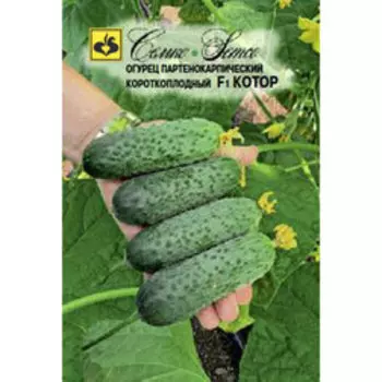 Огурец Котор F1