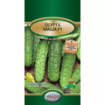 Огурец Маша F1