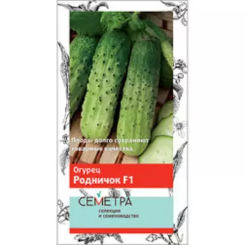 Огурец Родничок F1