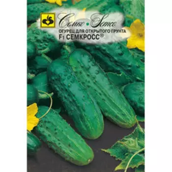 Огурец Семкросс F1
