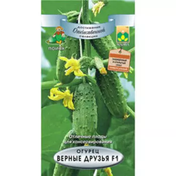 Огурец Верные друзья F1