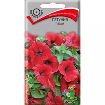 Петуния Пламя