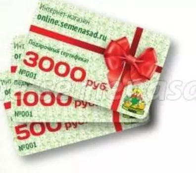 Подарочный сертификат (номинал 3000 р.)