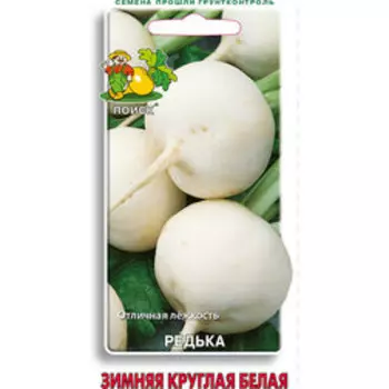 Редька Зимняя круглая белая