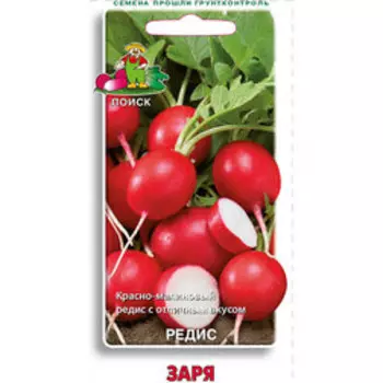 Редис Заря