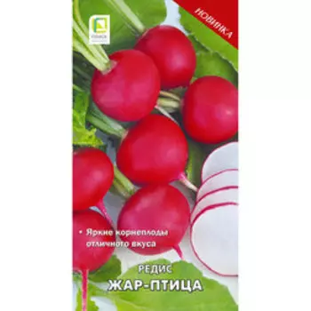 Редис Жар-птица