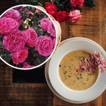 Роза флорибунда Дольче кулинарная серия