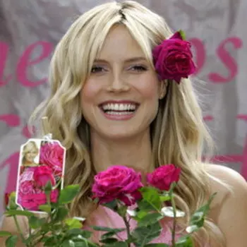 Роза миниатюрная Хайди Клум