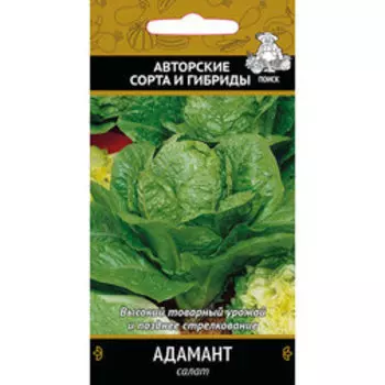 Салат Адамант (тип Ромэн)