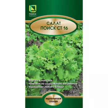 Салат Поиск СТ16