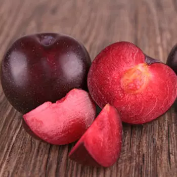 Шарафуга (гибрид) Вельвет Санрайз (С7,5)