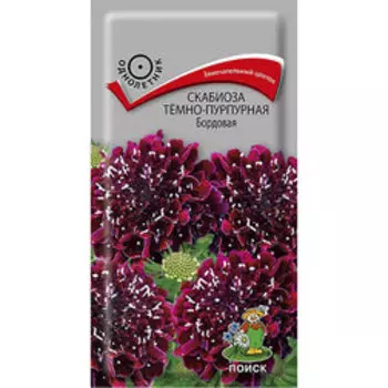 Скабиоза тёмно-пурпурная Бордовая