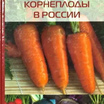 Столовые корнеплоды в России