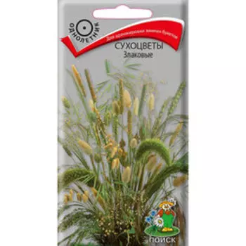 Сухоцветы Злаковые