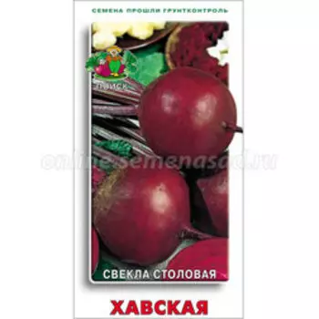 Свекла столовая Хавская