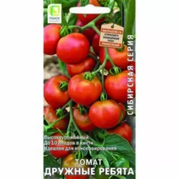 Томат Дружные ребята (Сибирская серия)