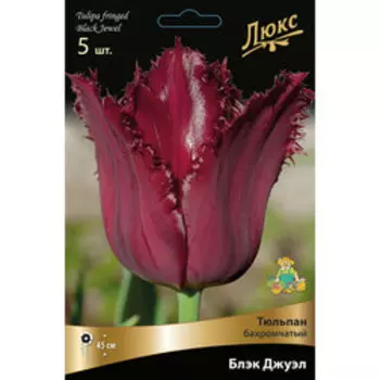 Тюльпан бахромчатый Блек Джуэл (5 шт.)