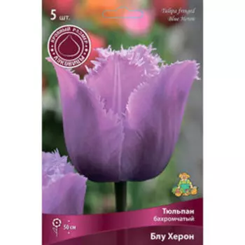 Тюльпан Бахромчатый Блу Херон (5шт.)