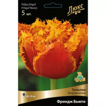 Тюльпан бахромчатый Фриндж Бьюти* (5 шт.)