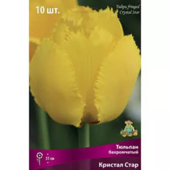 Тюльпан бахромчатый Кристал Стар (10 шт.)