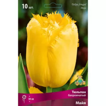 Тюльпан бахромчатый Майя (10 шт.)