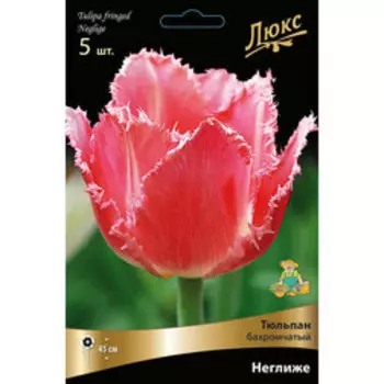 Тюльпан Бахромчатый Неглиже* (5 шт.)