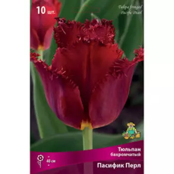 Тюльпан Бахромчатый Пасифик Перл (5шт.)