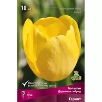 Тюльпан Дарвинов гибрид Гарант (10 шт.)