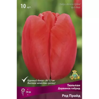 Тюльпан Дарвинов гибрид Ред Прайд (10 шт.)