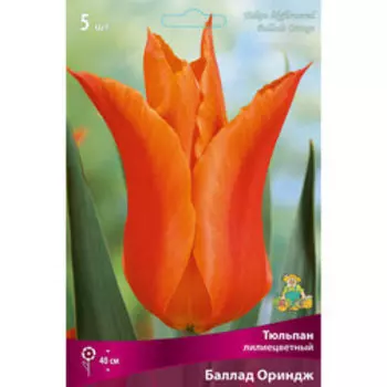 Тюльпан Лилиецветный Баллад Ориндж (5 шт.)