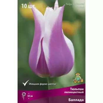 Тюльпан Лилиецветный Баллада (10 шт.)