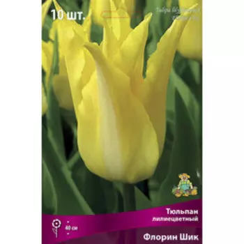 Тюльпан Лилиецветный Флорин Шик (10 шт.)