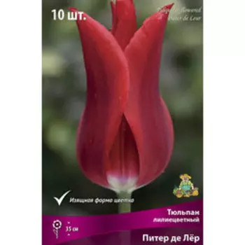 Тюльпан Лилиецветный Питер де Лёр (10 шт.)