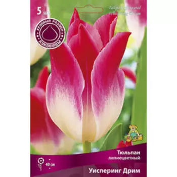 Тюльпан Лилиецветный Уисперинг Дрим (5 шт.)