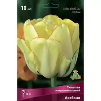 Тюльпан махровый поздний Акэбоно (10 шт.)