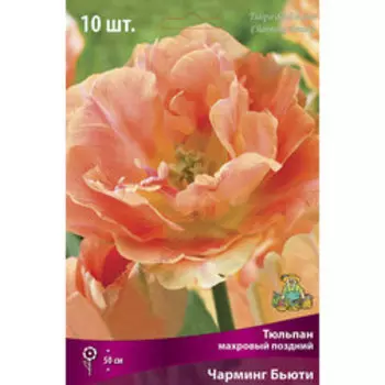 Тюльпан Махровый поздний Чарминг Бьюти 10шт