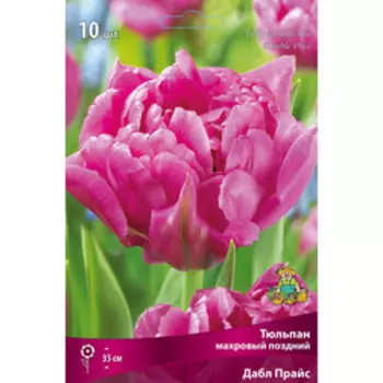 Тюльпан Махровый поздний Дабл Прайс (10 шт.)