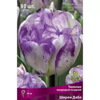 Тюльпан Махровый поздний Ширли Дабл 10шт