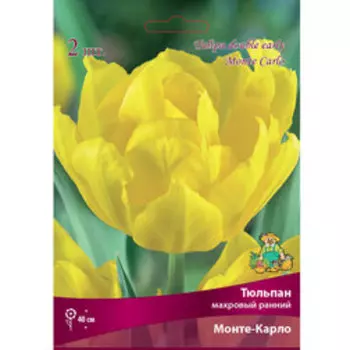 Тюльпан Махровый ранний Монте Карло (10 шт.)