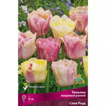 Тюльпан Махровый ранний Силк Роуд (10 шт.)