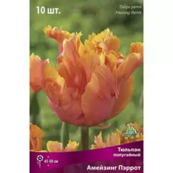 Тюльпан попугайный Амейзинг Пэррот (10 шт.)