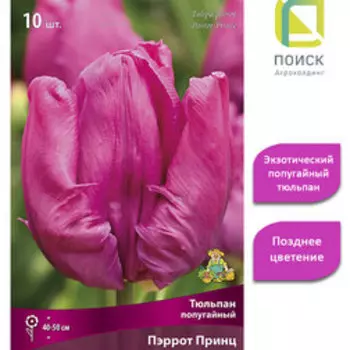 Тюльпан попугайный Пэррот Кинг (10 шт.)