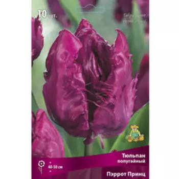 Тюльпан попугайный Пэррот Принц (10 шт.)