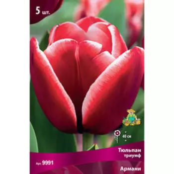 Тюльпан Триумф Армани (5 шт.)