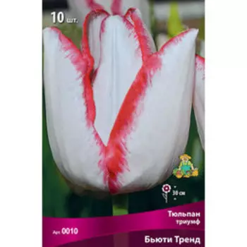 Тюльпан Триумф Бьюти Тренд (10 шт.)