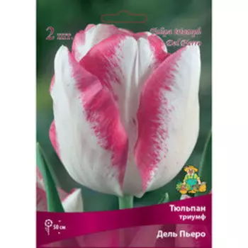 Тюльпан Триумф Дель Пьеро (10 шт.)