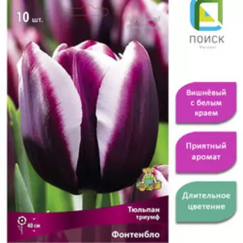 Тюльпан триумф Фонтенбло (10 шт.)