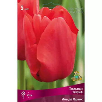 Тюльпан Триумф Иль де Франс 5шт