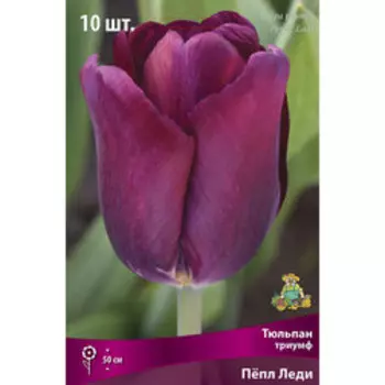 Тюльпан Триумф Пёпл Леди (10 шт.)